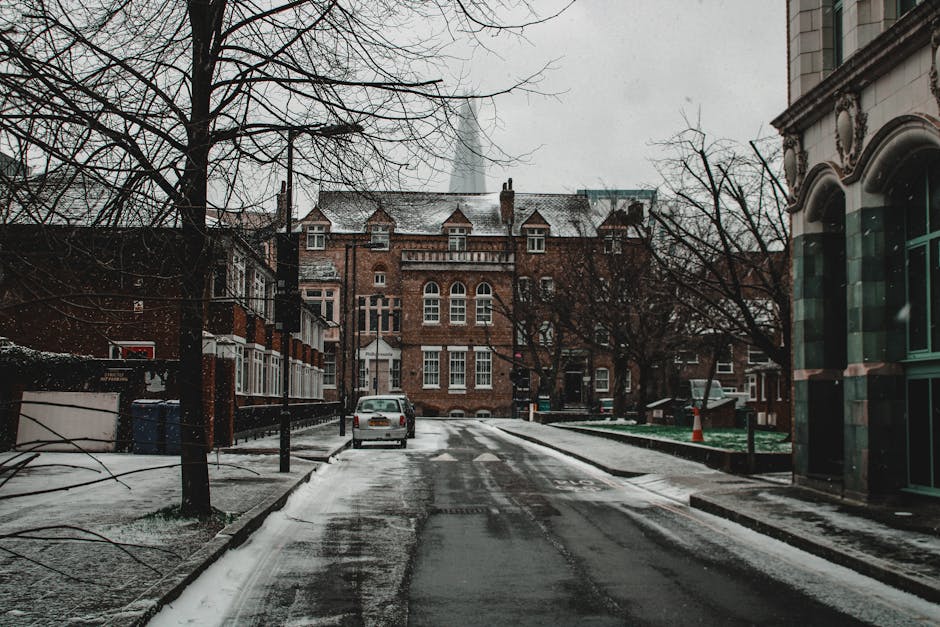 A narrow residential street during winter with light snow covering the pavement and road surface, showing a row of historic brick buildings in the background with pitched roofs and chimneys. The street is lined with leafless trees, some of which extend branches over the pavement. On the left side, there are a few parked cars and a small waste collection area with recycling bins, partially obscured by a tree. On the right side, a modern building with large arched windows has a dark green facade, contrasting with the older brick structures. A traffic cone is visible on the right side of the street, indicating ongoing or recent clearance activity. The overall scene is quiet, illuminated by diffuse daylight through an overcast sky, exemplifying an urban environment where independent rubbish removal services, like those offered by Rubbish Clearance Bermondsey, could handle waste collection outside standard council arrangements, especially in residential or commercial properties undergoing on-site clearance or private disposal efforts.